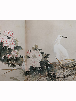 吴湖帆 《芙蓉白鹭》卷