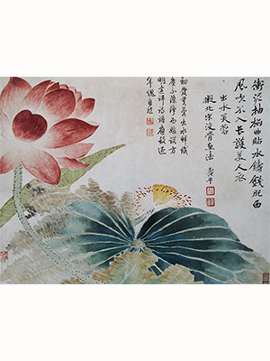 恽寿平 《出水芙蓉》