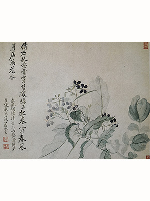 恽寿平 《二月兰》