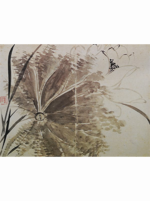 恽寿平 《荷花》
