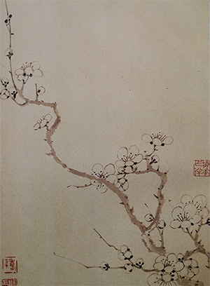 恽寿平 《墨梅》