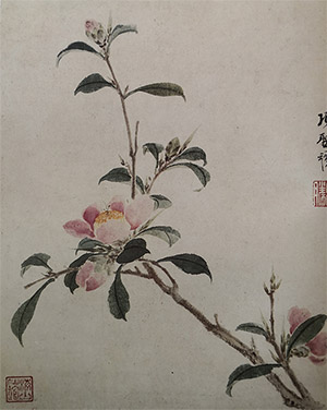 项圣谟 《茶花》