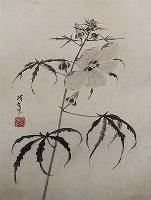 项圣谟 《蜀葵》