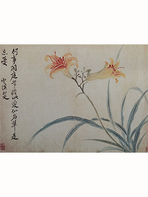 恽寿平 《萱花》