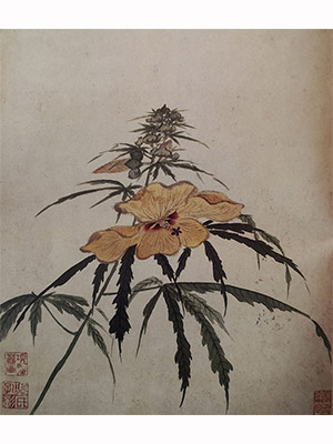 项圣谟 《蜀葵》