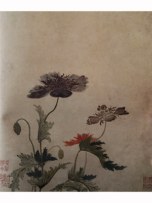 项圣谟 《罂粟花》