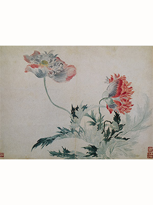 恽寿平 《罂粟》