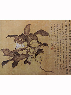居巢 《夜合花与蛾》