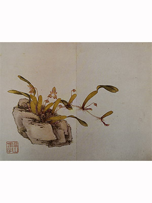 居廉 《芳香石豆兰》