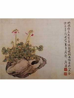居廉 《红花酢浆草》