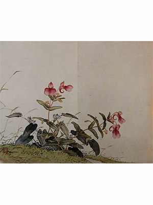 居廉 《华凤仙》
