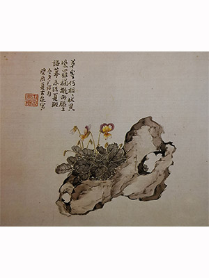 居廉 《蔓茎堇菜》