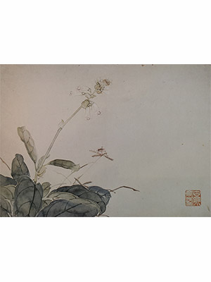 居廉 《苦菊苔蝗虫》