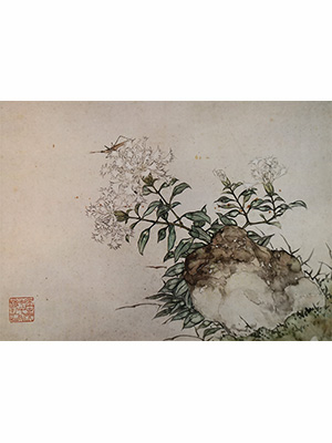 居廉 《石竹蝗虫》