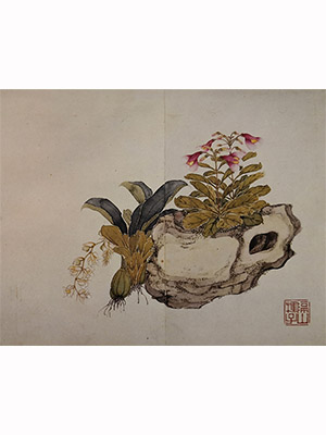 居廉 《通泉草石仙桃》