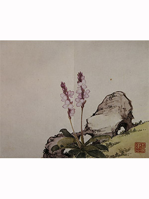 居廉 《虾脊兰》
