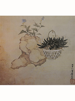 居廉 《鸭趾草石斛》