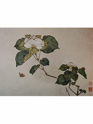 居廉 《野花草虫》