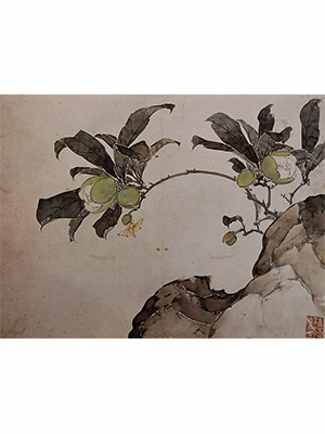居廉 《夜合花蛾子》