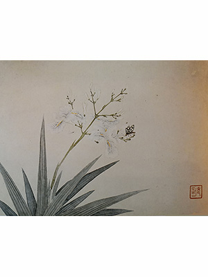 居廉 《鸢尾鹿蛾》