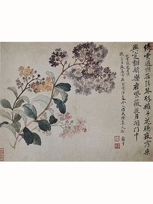 恽寿平 《紫薇》