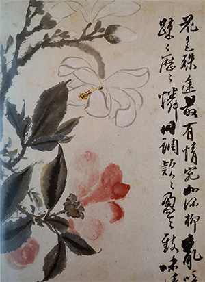 石涛 《玉兰茶花》