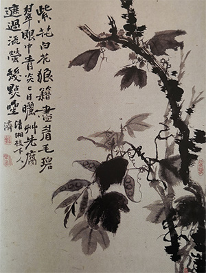 石涛 《扁豆》