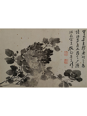 徐渭 《富贵牡丹》