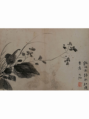 徐渭 《绿肥红瘦》