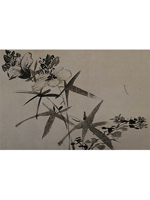 徐渭 《墨色草花》