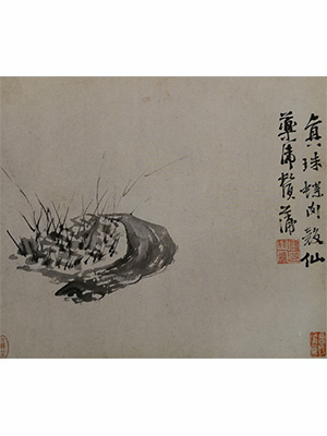 徐渭 《虎须蒲》