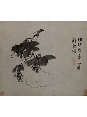 徐渭 《明珠垂一串》