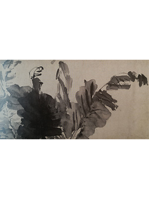 徐渭 《墨色花卉图卷》之二