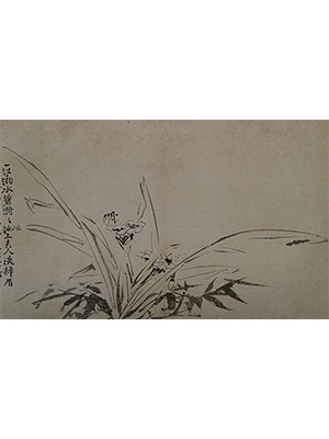 徐渭 《墨色水仙》