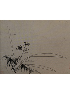 徐渭 《二月水仙》