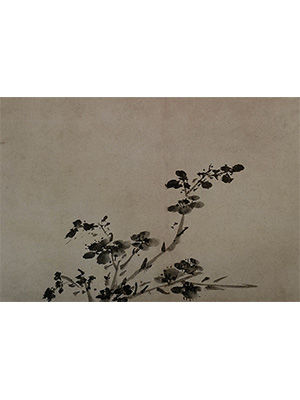 徐渭 《墨色杏花》