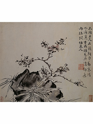 徐渭 《杏花顽石》