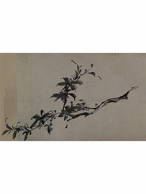 徐渭 《一枝黄粟》
