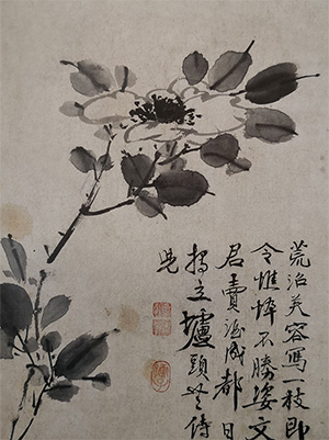 徐渭 《荒沼芙蓉写一枝》