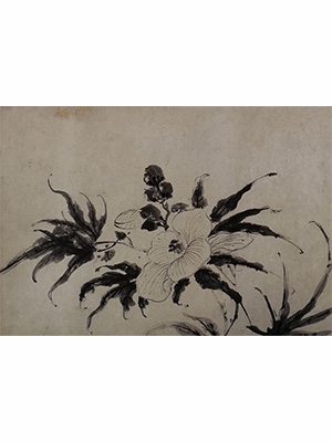 徐渭 《墨色牡丹蜀葵卷》