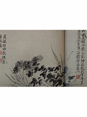 徐渭 《墨色荷花菊花虎须蒲卷》