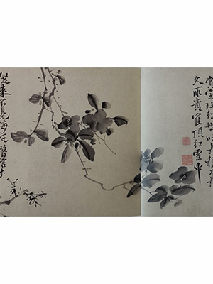 徐渭 《墨色杏花茶花梅花卷》