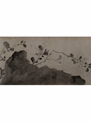 徐渭 《磐石野果卷》