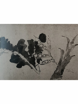 徐渭 《蔬果鱼蟹卷》
