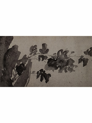 徐渭 《松花石旁丢牡丹》