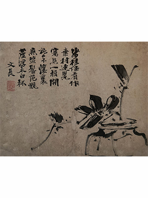 徐渭 《罂瓶桂枝图》