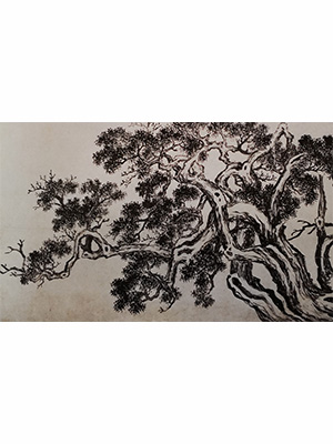 沈周 《三桧图卷之三》