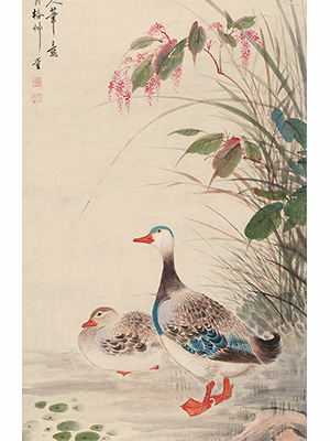 颜伯龙 《红蓼双鸭》