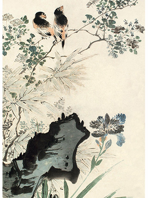 颜伯龙 《鸢尾蜡嘴雀》