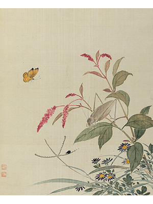 蒋廷锡 《红蓼草虫》